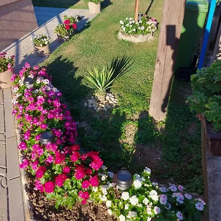 President 034 * ארנדלובאץ'