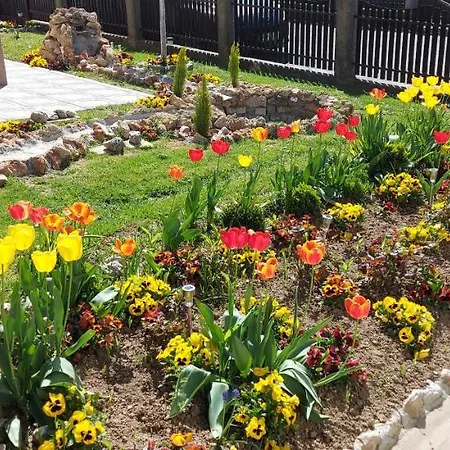 President 034 דירה *